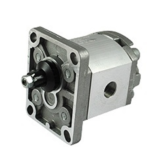 pump pdf hydraulic 1 Hydraulic   Gear Flowfit Pumps (Free Group Delivery)